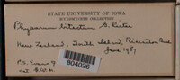 Image Associated With the Occurence
